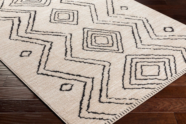 Livabliss Cozy Bohemian Global Runner Rug Turkish Woven Polyester for Hallways and Entryways CZY2304-2773