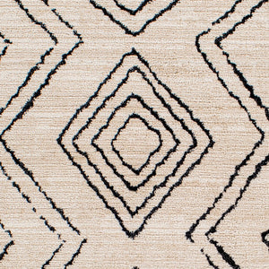 Livabliss Cozy Bohemian Global Runner Rug Turkish Woven Polyester for Hallways and Entryways CZY2304-2773