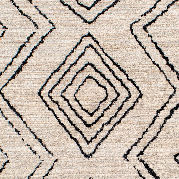 Livabliss Cozy Bohemian Global Runner Rug Turkish Woven Polyester for Hallways and Entryways CZY2304-2773