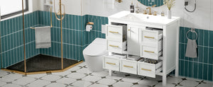 English Elm 36'' Bathroom Vanity with Resin Sink, Solid Wood Frame, 5 Drawers, Soft-Close Doors, Gold Knobs, Spacious Storage White SW000142AAK-1