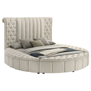 English Elm Santiago Boucle Queen Bed with Curved Frame Tufted Storage Base and Usb Charging B062S01673