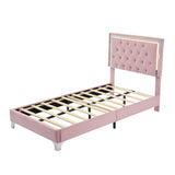 English Elm Twin Size Upholstered Bed Frame With Led Lights,Modern Velvet Platform Bed With Tufted Headboard,Pink