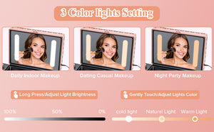 English Elm Portable Led Vanity Makeup Case Aluminum Travel Organizer with Mirror Lock Dividers W1550P163304