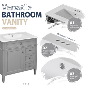 English Elm 30'' Modern Bathroom Vanity Set With Mirror, Stylish Freestanding Cabinet, Ample Storage & Sink SW000127AAE-1