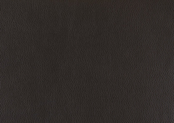 English Elm 1pc Top-grain Leather Accent Chair Rolled Arms Nailhead Trim Traditional Living Room B011P204075