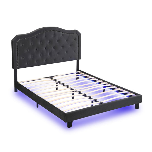 English Elm Upholstered Queen Bed Black Velvet Tufted Headboard with Led Ambient Lighting W311P237227