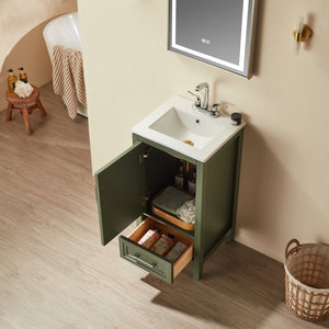 English Elm Fully 18" Freestanding Single Bathroom Vanity with Waterproof 5-Layer Paint, Open Back and Dual Handles Green W1826P351747