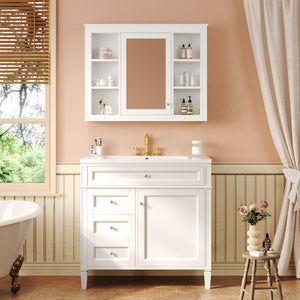 English Elm 36'' Modern Bathroom Vanity with Mirror Cabinet and Sink, Spacious Storage, Soft-Close Doors & Drawers White SW000134AAK-3