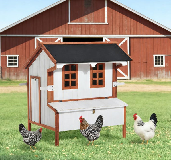 English Elm Portable Fir Wood Chicken Coop Raised Backyard Hutch with Nesting Box and Ramp T3971P432629