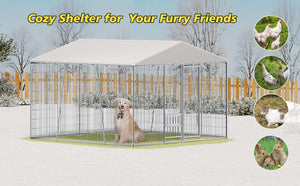 English Elm 10 X 10 Ft Heavy Gauge Steel Outdoor Dog Kennel with Pvc Roof and Feeding Basin W1820S00023