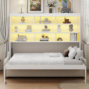 English Elm Queen Murphy Cabinet Bed with Sofa Foldaway, Built-In Shelves, LED Lighting, Space-Saving Beige N7090000603A