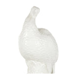 Turkey White/Cream 385577 Chelsea House