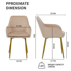 English Elm Velvet 2-Piece Dining Chairs Beige with Gold Metal Legs — Modern Quilted Padded Armchairs for Home W3851P369041