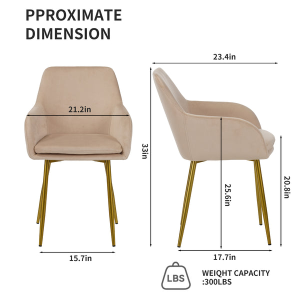 English Elm Velvet 2-Piece Dining Chairs Beige with Gold Metal Legs — Modern Quilted Padded Armchairs for Home W3851P369041