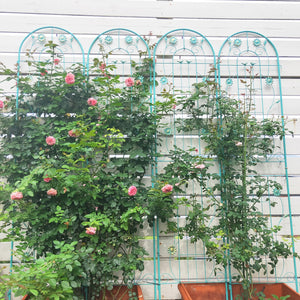 English Elm 4 Pack Ornamental Steel Garden Trellises Rustproof Climbing Plant Outdoor Support Panels W1586135959