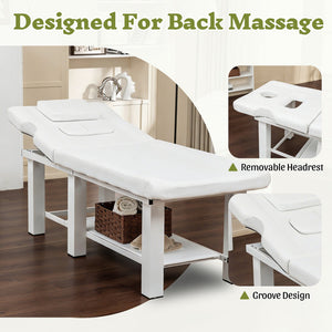 English Elm Spa Salon Massage Table Steel Frame Pu Leather Adjustable Backrest Bottom Shelf Storage W1422P382936