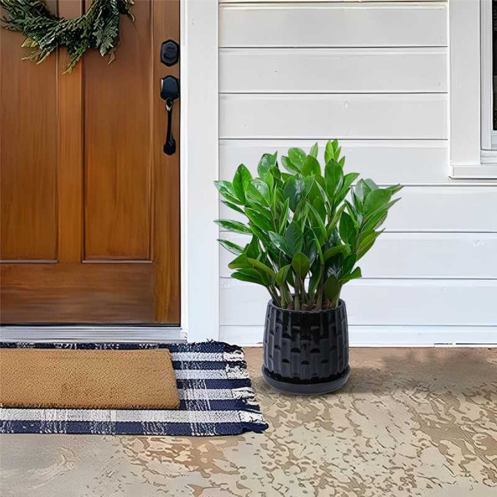 English Elm Set Of 2 Ceramic Flowerpots - 7" Modern Black Planters For Stylish Patio, Garden & Windowsill Decor W3273P322303-GIGA