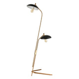 Scarab 66'' High 2-Light Floor Lamp - Satin Brass D4653 Elk Home