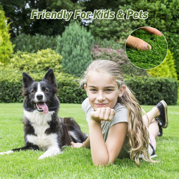 English Elm Realistic Polypropylene Turf Rug Dense Blades Drainage Backing Patio Pet Safe W2896P429775