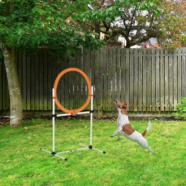 English Elm PawHut 2-in-1 Dog Agility Jumper Tire or Hurdle Bar with Carry Bag, Durable Plastic, Portable Training W2225P249934