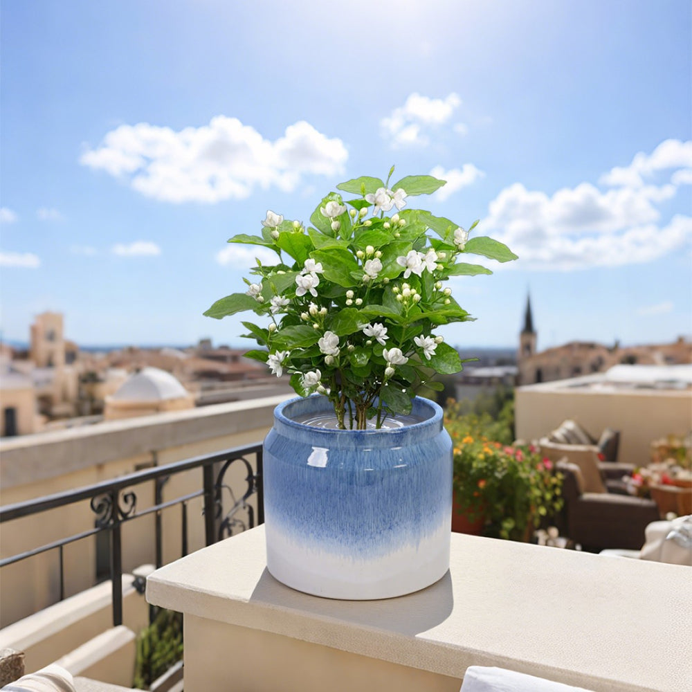 English Elm Set Of 2 Gradient Ceramic Flowerpots - Stylish Modern Planters For Garden, Patio & Indoor Decor W3273P322300-GIGA