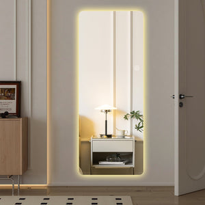 English Elm 65x21in LED Full Body Mirror with Dimming & 3-Color Touch Control, Explosion-Proof Glass, Aluminum Shade W2709P268896