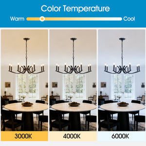 English Elm 8-light Industrial Farmhouse Chandelier Black Metal Frame for Vaulted Dining Rooms W5008P392711
