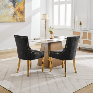 English Elm Chenille Plush Dining Chair with Curved Gold-Plated Legs, Rivet Trim, Textured Upholstery Comfort Black W1143P332685