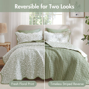 English Elm 3-piece King Quilt Set Scalloped Hem Microfiber Bedding for Master or Guest Room Sage Green B035P482950