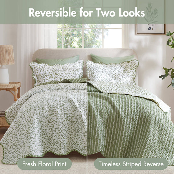 English Elm 3-piece King Quilt Set Scalloped Hem Microfiber Bedding for Master or Guest Room Sage Green B035P482950