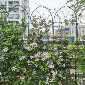English Elm 4 Pack Powder-coated Steel Garden Trellises Rustproof Climbing Plant Support Panels W158681138