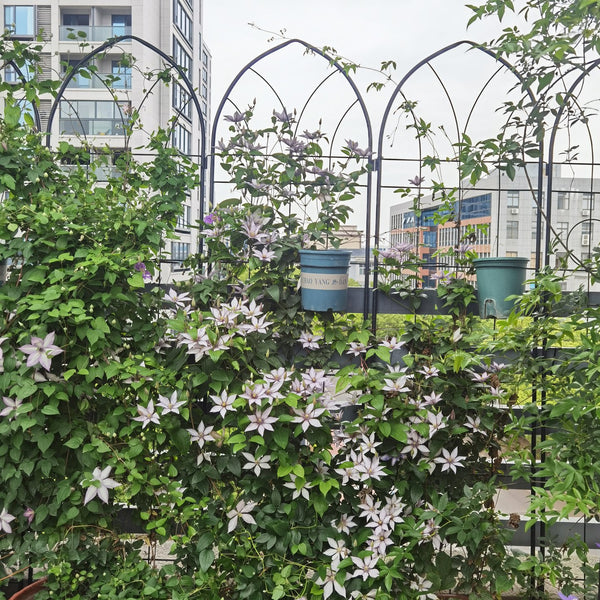 English Elm 4 Pack Powder-coated Steel Garden Trellises Rustproof Climbing Plant Support Panels W158681138