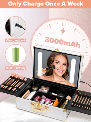 English Elm Portable Led Vanity Makeup Case Aluminum Travel Organizer with Mirror Lock Dividers W1550P163303