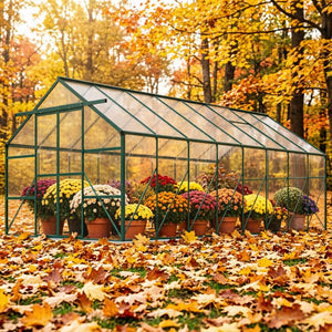 English Elm Outdoor Walk-in Aluminum Polycarbonate Greenhouse Kit with Roof Vent and Rain Gutter T3971S00236