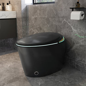 English Elm Unique Smart Toilet with Built in Bidet Auto Lid Foot Sensor and Warm Air Dryer W3133P384976