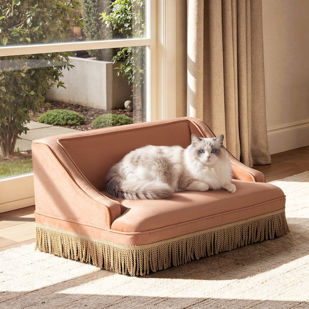 English Elm Duchess Regency Tufted Pet Sofa with Fringe Skirt Velvet Upholstery for Small Dogs Orange B2719P479029