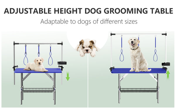 English Elm 47'' Stainless Steel Foldable Pet Grooming Station with Adjustable Arm Noose Mesh Tray Blue W3587P462638