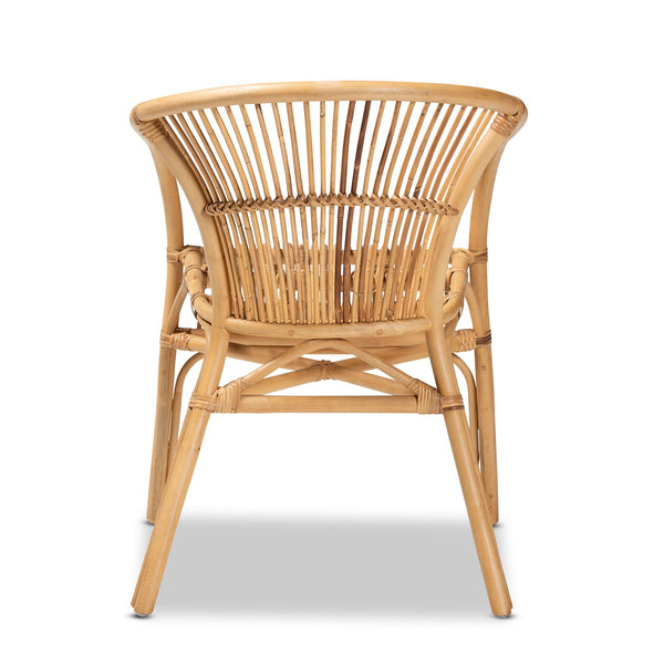 English Elm Modern Bohemian Rattan Woven Metal Dining Chairs Set of Two for Eclectic Spaces B2750P420353