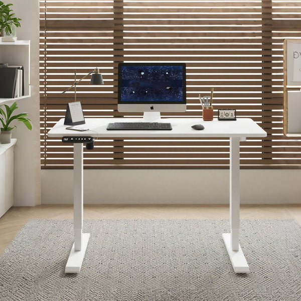 English Elm 55"×24" Electric Sit Stand Desk Steel Frame with Memory Presets and Usb-c Charging Port White W614P376324