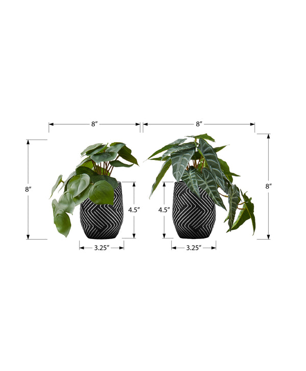 English Elm Artificial Alocasia Plants Set Of 2 – 8" Tall Faux Greenery In Modern Black Cement Pots B2710P287114