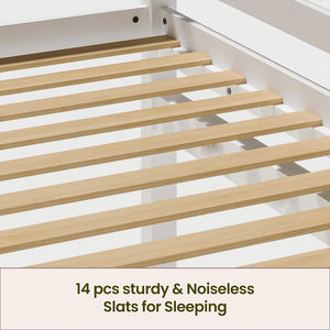 English Elm Kids Twin Low Loft Bed with Built-In LED Strip, Solid Pine Convertible Bunk Frame, Modern Durable Design White W1820P331925