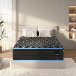 English Elm Queen Hybrid Mattress 12 Inch Pocketed Coil Memory Foam Medium Firm Sleep Support Black+Blue W2889P423133