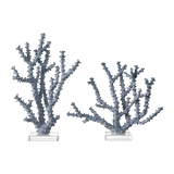 Blue Coral Set of 2