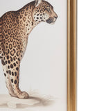 Martha Stewart The Duel Coastal Cheetah Framed Graphic Wall Decor 2 Piece set MT95G-0086 Multi