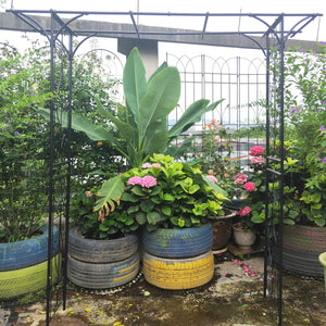 English Elm Metal Powder-coated Garden Arch Galvanized Steel Frame for Climbing Roses Outdoor W1586P148590