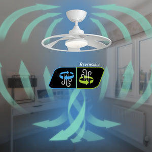English Elm Light Pro 22-Inch Led Smart Ceiling Fan With Energy-Efficient Dc Motor For Compact Spaces T3177P284011