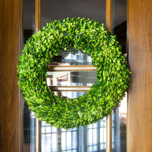 Preserved Boxwood Wreath, Large EBD80094 Park Hill