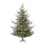 Park Hill Blue Spruce Christmas Tree, 7.5' XPQ82168 Park Hill