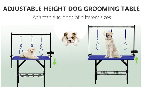 English Elm 47'' Foldable Dog Grooming Table X-lift Adjustable Height Station with Arm Noose Organizer Blue W3587P358743