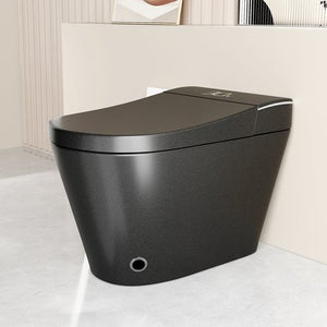 English Elm Unique Intelligent One-piece Toilet with Integrated Bidet Heated Seat and Auto Lid Black W3133P414563